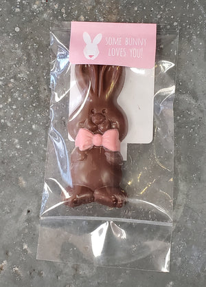 Easter Chocolate Bunny