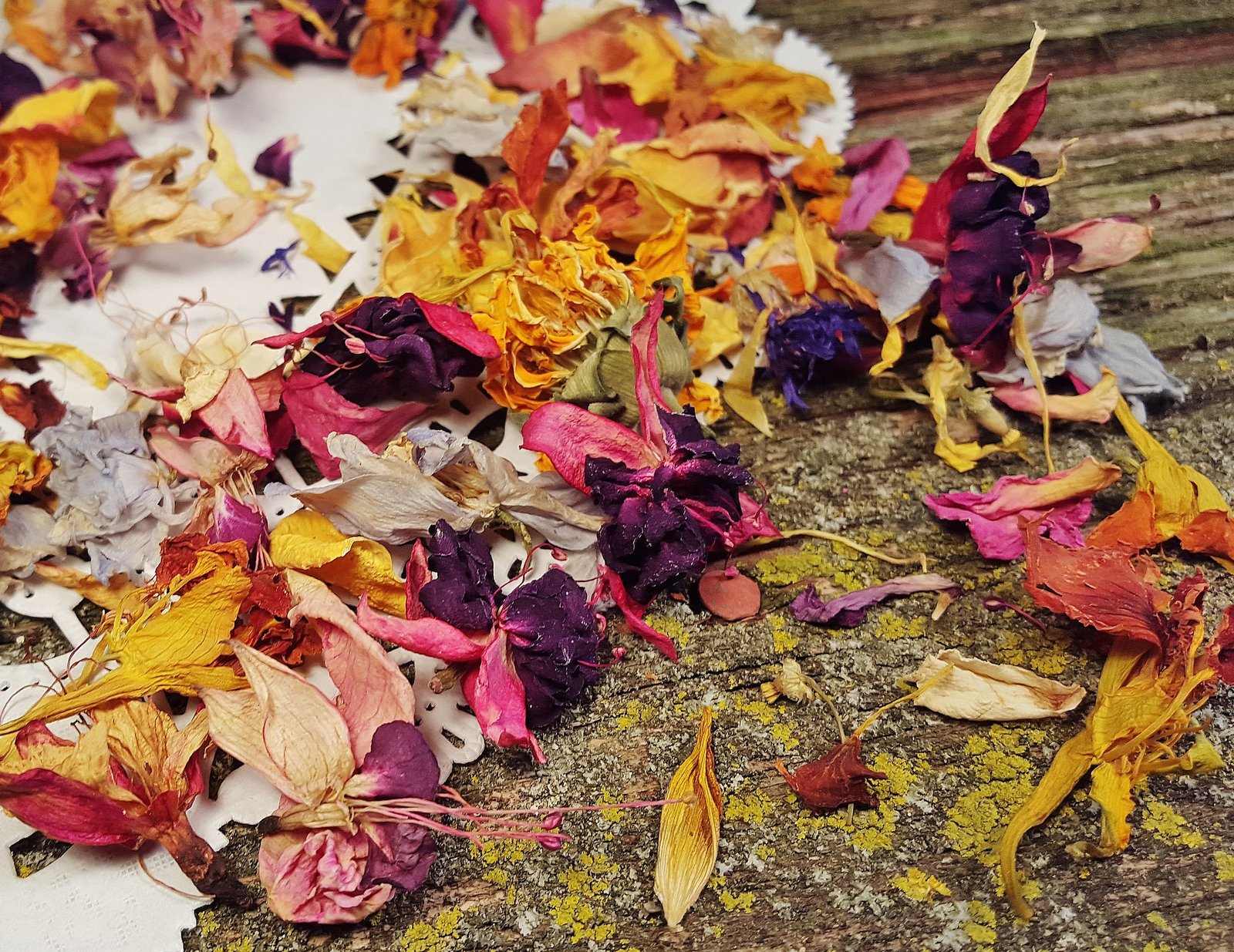 Dried Flower Confetti - Summer in a Box - E's Florals