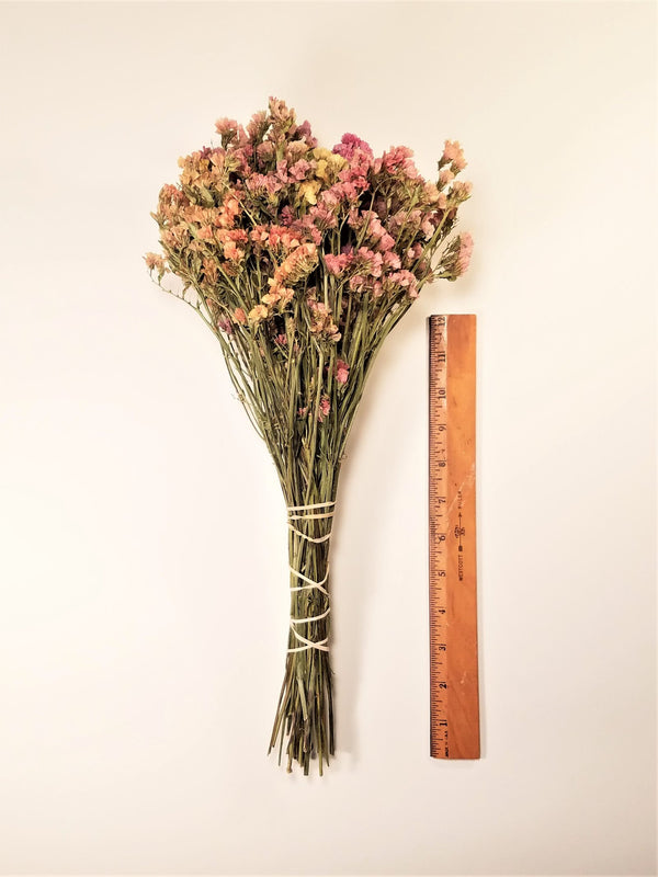 Dried Reed Flower and Peach Colored Paper on Dusk Concrete Stock