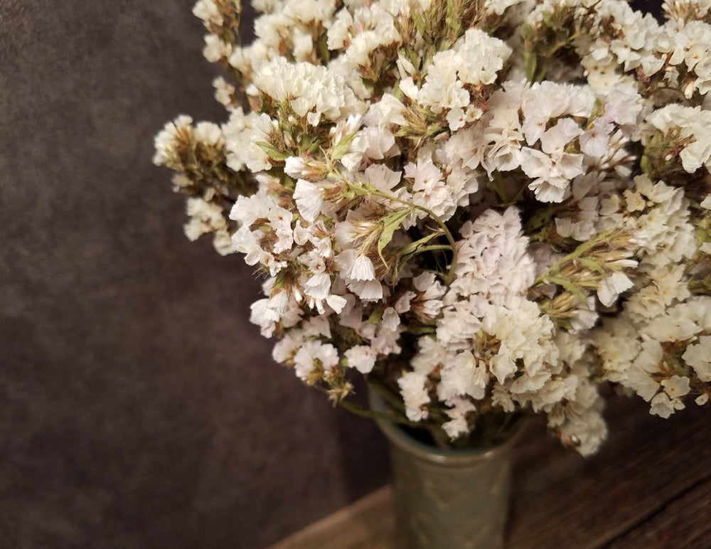 Dried White Statice Flowers - E's Florals